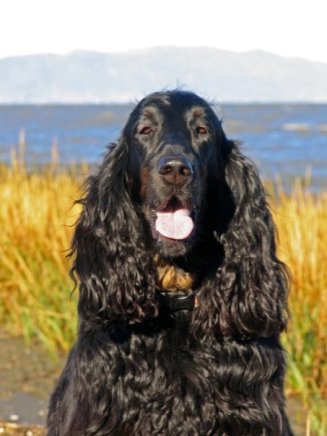 6415_100552983290431_6878879_n