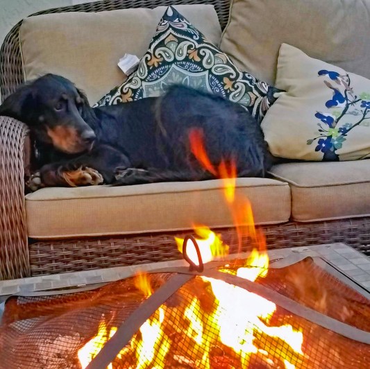 Lexi by the fire 2