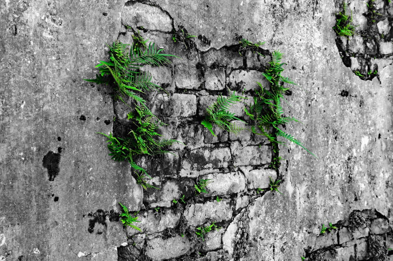 Bricks in the wall green highlight