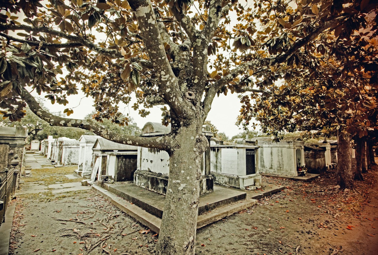 Cemetery color work