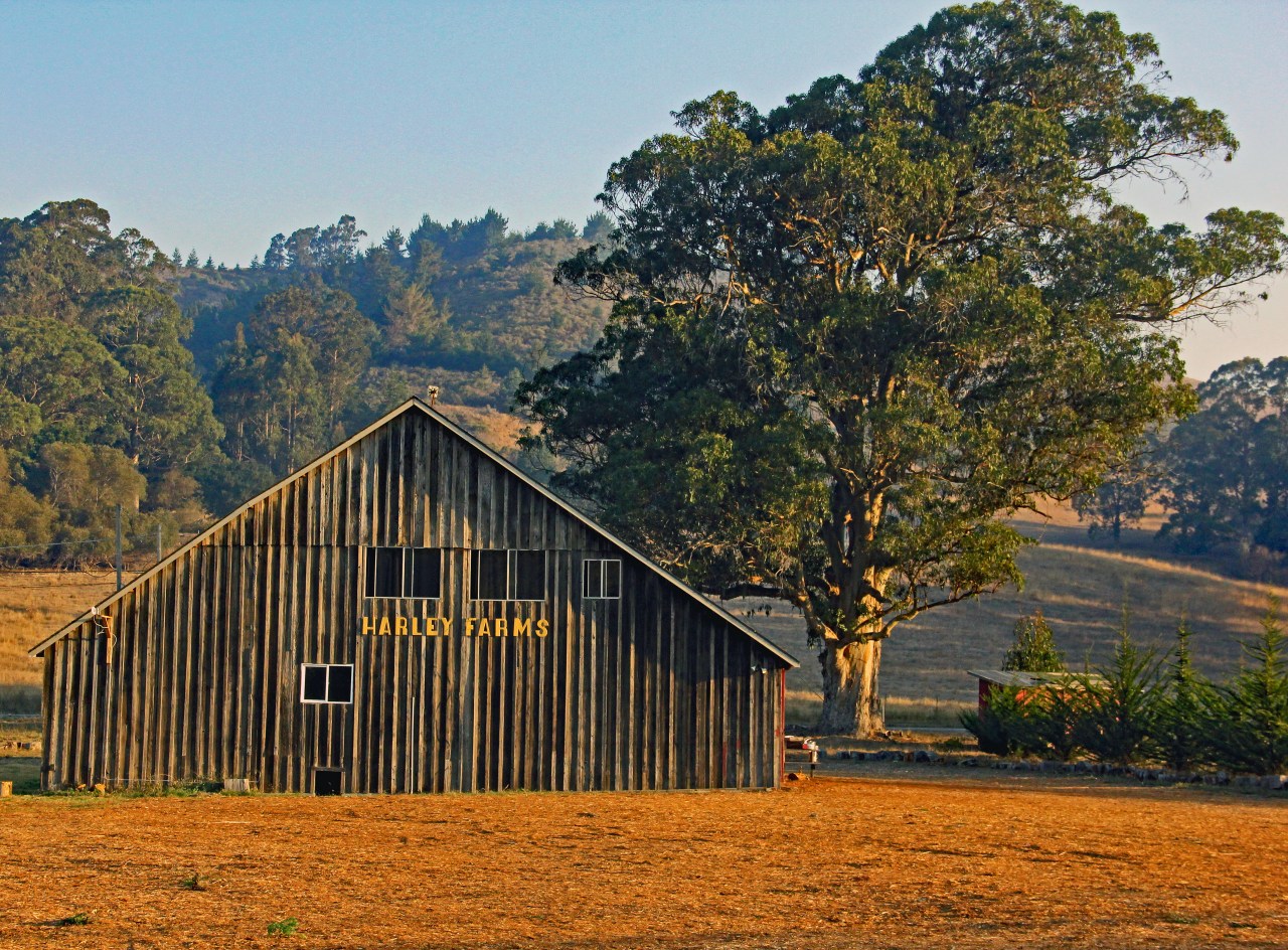 Harley Farms