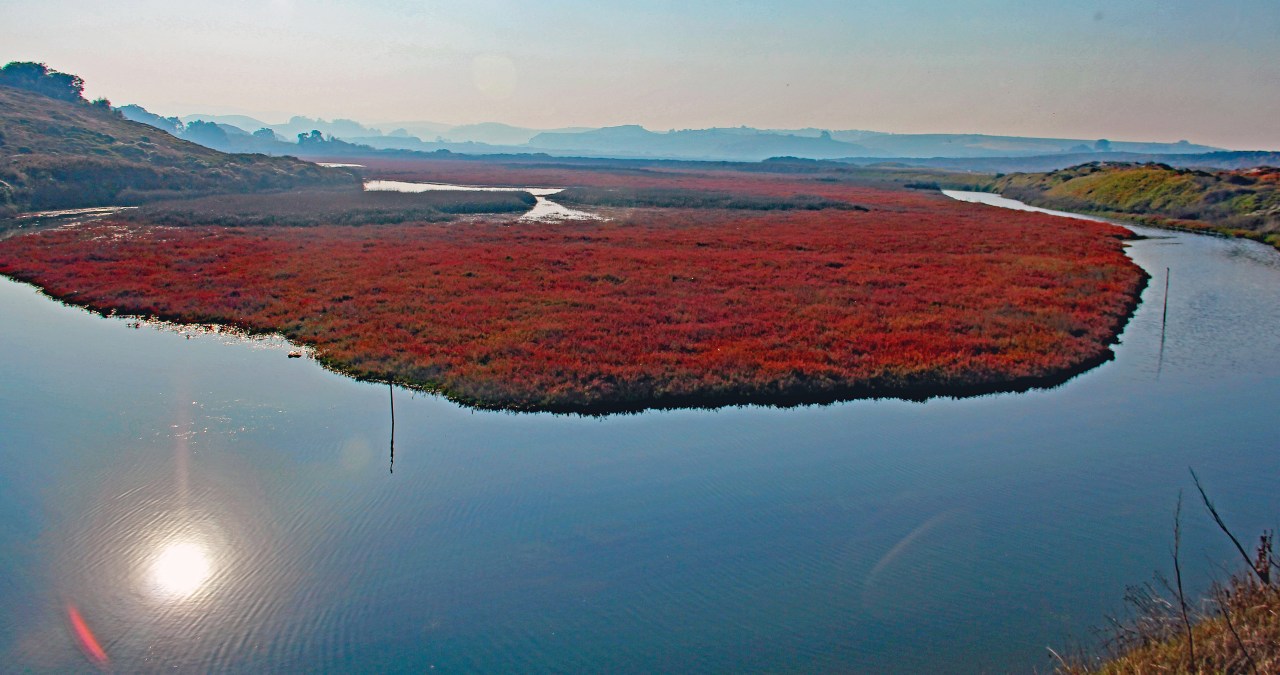 Pescadero Marsh 4