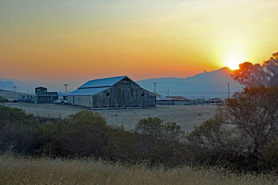 San Gregorio Barn