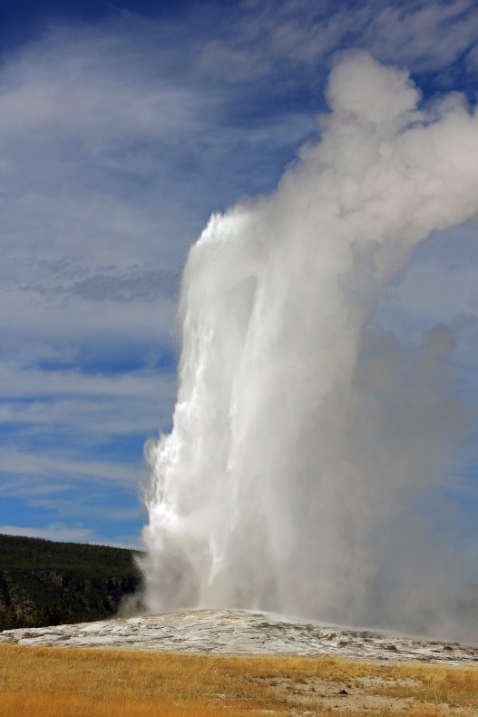 Old faithful