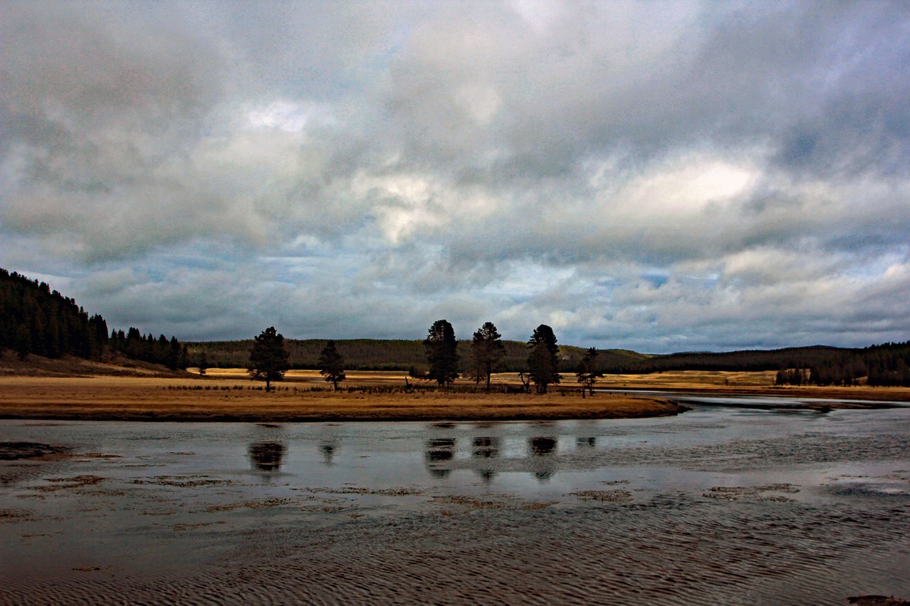Yellowstone river hayden valley