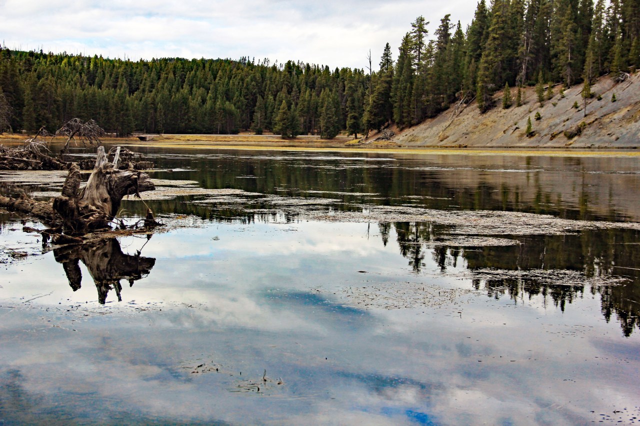 Yellowstone river3