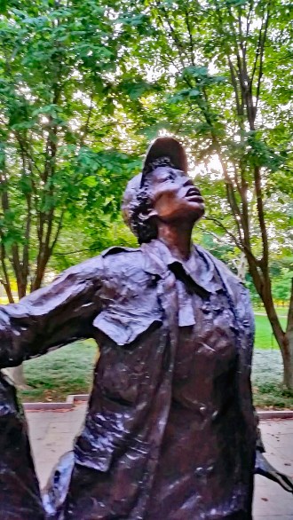 Looking for the dustoff