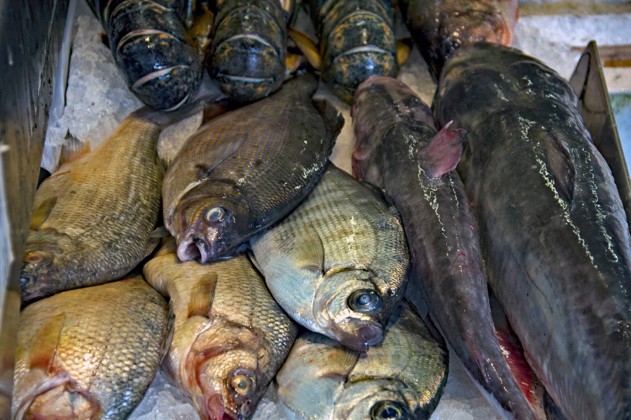 Fish market