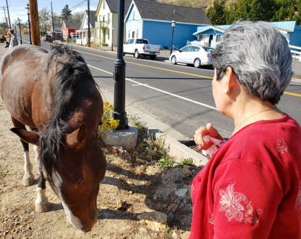 Cora and horse edited