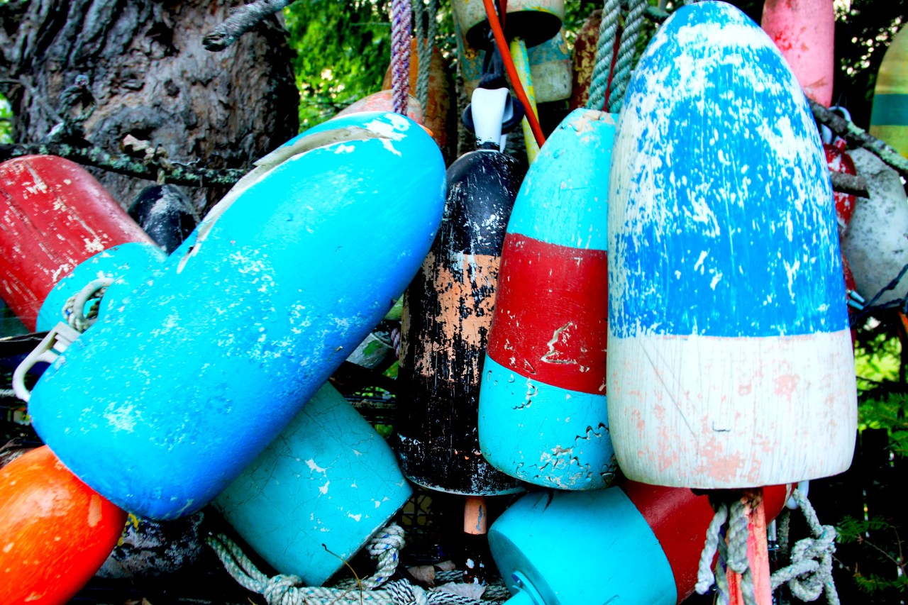 Bouys in tree close up